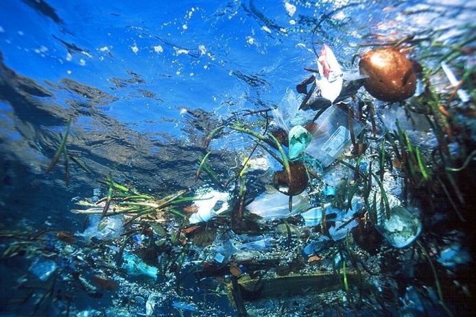 Het plastic afval in de oceanen kan zich tegen 2050 meer dan verviervoudigen, aldus onderzoek van het Wereld Natuur Fonds.