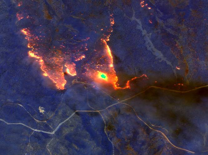 Indrukwekkende satellietbeelden tonen catastrofale bosbranden in Australië