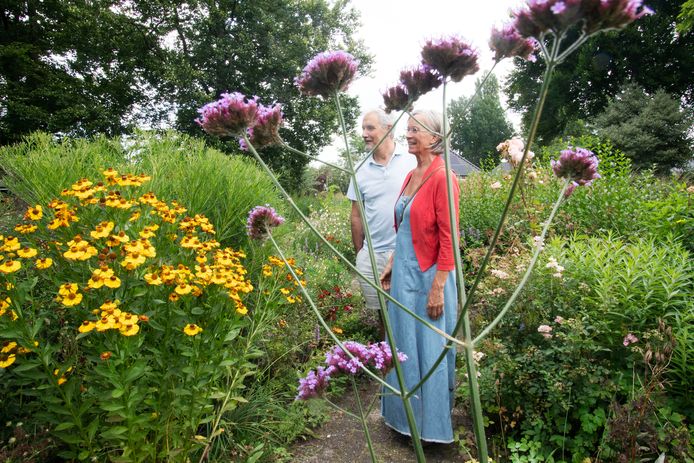 Genieten van de prachtige tuin in Aadorp.