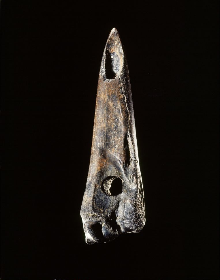 Een prehistorisch gereedschap van tussen de 9000 en 6000 voor Christus. Beeld Rijksmuseum van Oudheden