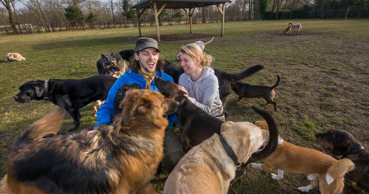 Droombedrijf Cromvoirt spat uiteen door één klagende omwonende: 'Ik vind dit onbegrijpelijk'