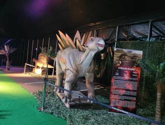 Dinosaurussen veroveren Leuven tijdens Jurassic Expo op parking Brabanthal 