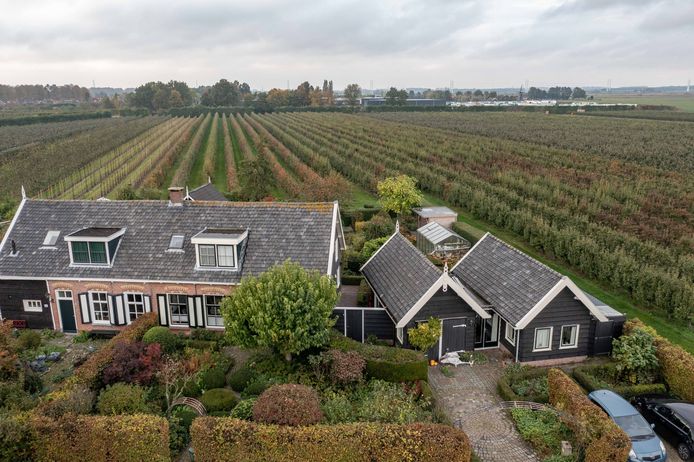 Het huis aan de Zuidweg wordt bijna omringd door boomgaarden.