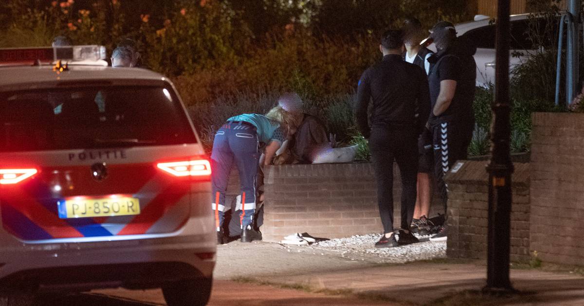 Aanrijding bij vechtpartij in Deventer: dader gaat er vandoor.