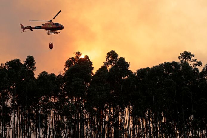 Negen helikopters zijn ingezet om de zware brand nabij Montchique (Faro) te blussen.