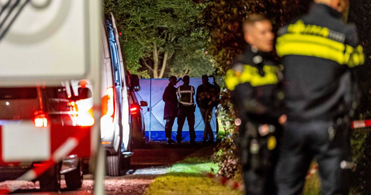 Politie Friesland schiet man (28) dood die op agenten inreed