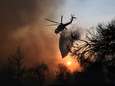 Grieken moeten over zee voor bosbranden vluchten: “Dit is een apocalyps”