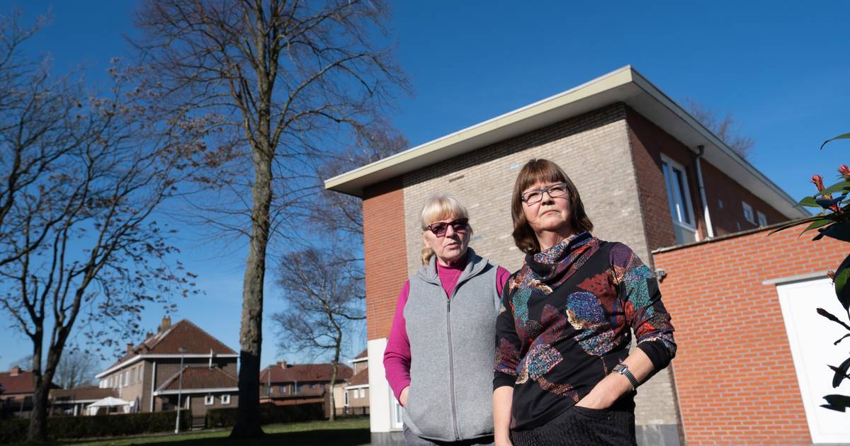 Buren klagen over lindeboom “Hij is te groot en moet hier weg” Willebroek hln.be
