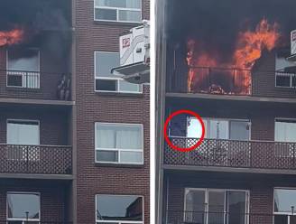 Un homme et son chat échappent in extremis à un incendie au Canada