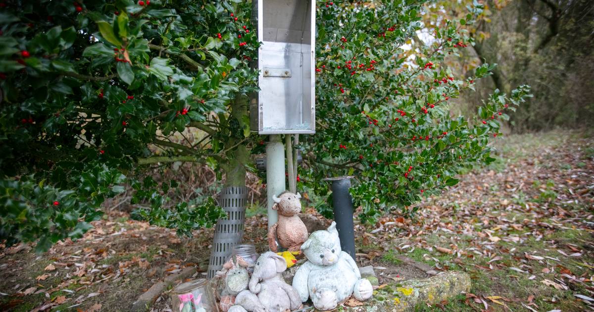 Gedenkplek Engeltje van het Engelermeer vernield