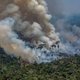 ‘Als de hele Amazone wegbrandt, maakt dat voor onze ademhaling geen verschil’: 4 vragen over de bosbranden in Brazilië