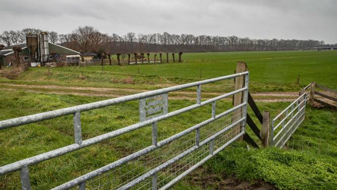 ‘Klein’ zonnepark in Laag Zuthem op komst, maar nog niet alle plooien gladgestreken