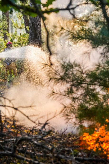 Brandweer blust zeer grote heidebrand en kleiner vuur in bosgebied bij Waalre