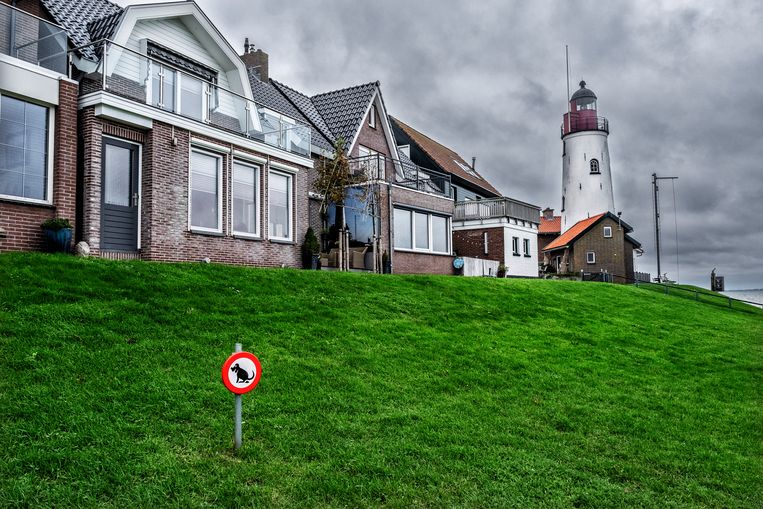 Bidden, vissen en zuipen: het geheime leven in Urk, het meest godvrezende dorp in Nederland