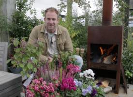 Met deze 7 kleurrijke planten is je wintertuin een plaatje