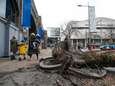 Arbres déracinés, toitures arrachées: les dégâts de la tempête Eunice en images