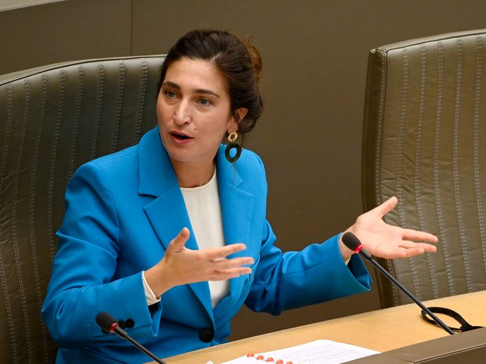 Vlaams minister van Energie Zuhal Demir (N-VA).