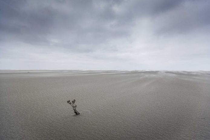 De Waddenzee. Foto ter illustratie.