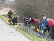 Somerenseweg Heeze dit voorjaar op de schop; inzamelingsactie IVN voor extra paddentunnel