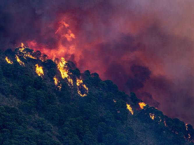 Hittegolf teistert Spanje en Frankrijk, vrees voor bosbranden door extreme hitte
