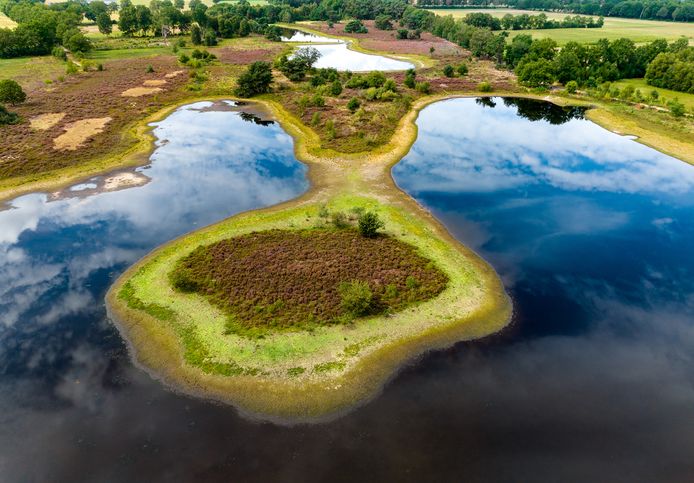 De Everglades in Florida? Of een tafereeltje uit de Gebroeders Grimm. Nee, gewoon de Bergvennen bij Lattrop.