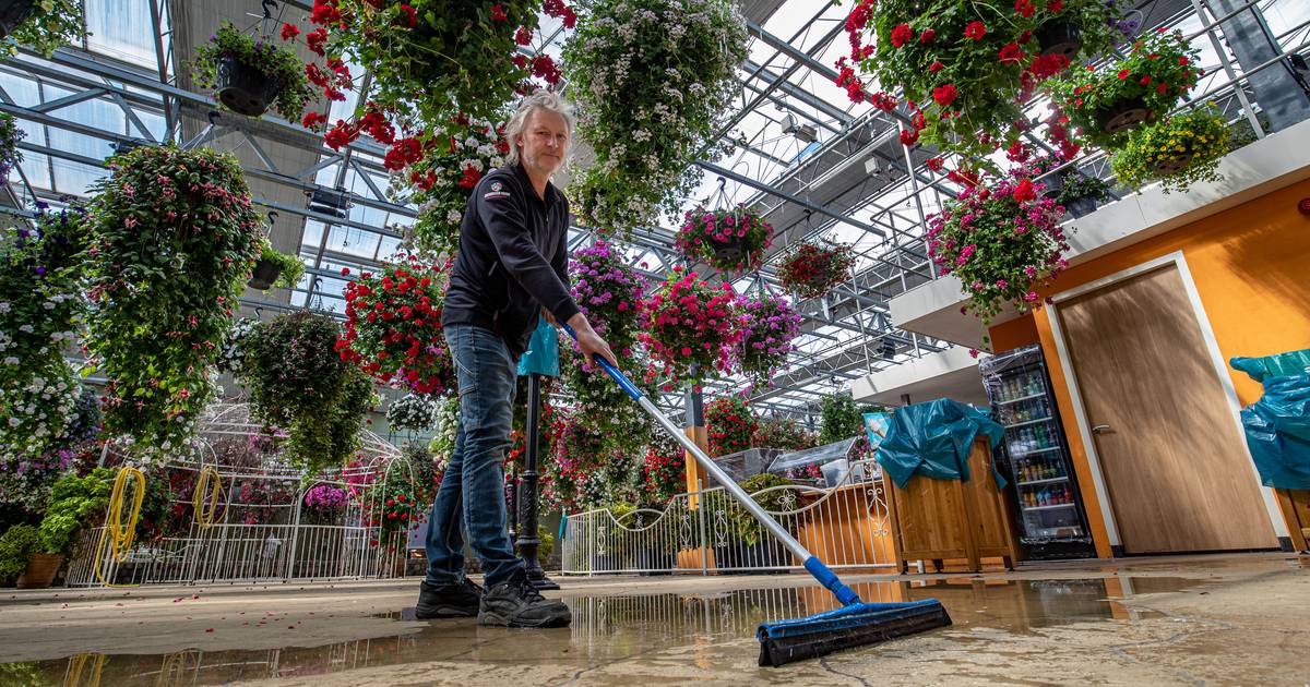 Waarom is De Orchideeën Hoeve in Luttelgeest tiende jaar op rij Leukste uitje van Flevoland? ‘Spanni