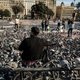 In Barcelona krijgen duiven de pil om overlast tegen te gaan – kan dat ook in Amsterdam?