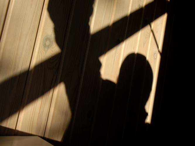 Dieven klauteren binnen via ladder uit garage
