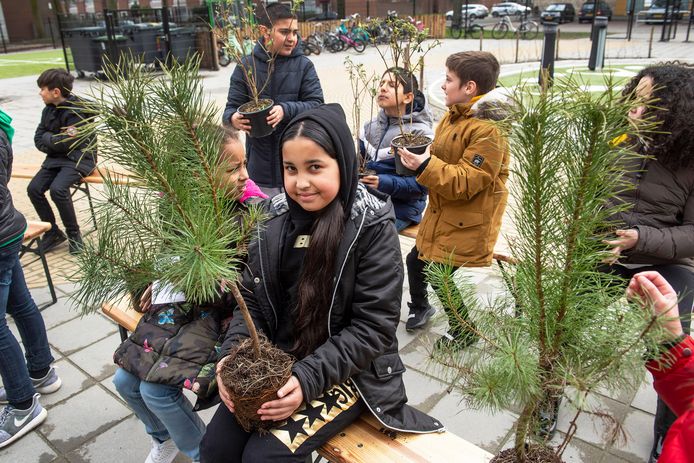 Leerlingen van groep 7 van de Wisselaar krijgen ihkv boomfeestweek Breda een boompje uitgereikt door wethouder De Bie om thuis te verzorgen.