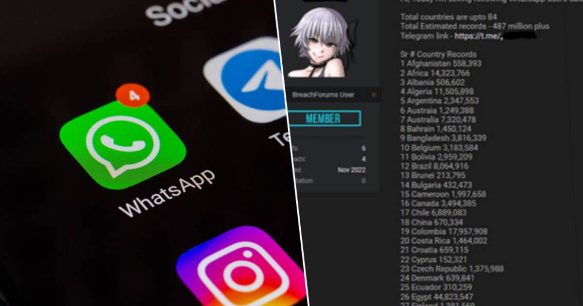 Более 3 миллионов бельгийских номеров WhatsApp выставлены на продажу после огромной утечки |  Новости ВТМ в Instagram