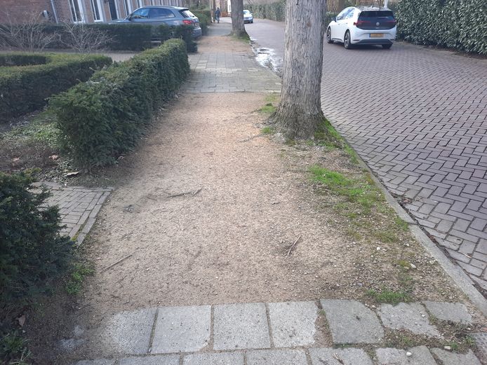 De Julianastraat in Vlijmen. Het trottoir is op veel plaatsen slecht, mede door wortelopdruk van de bomen.