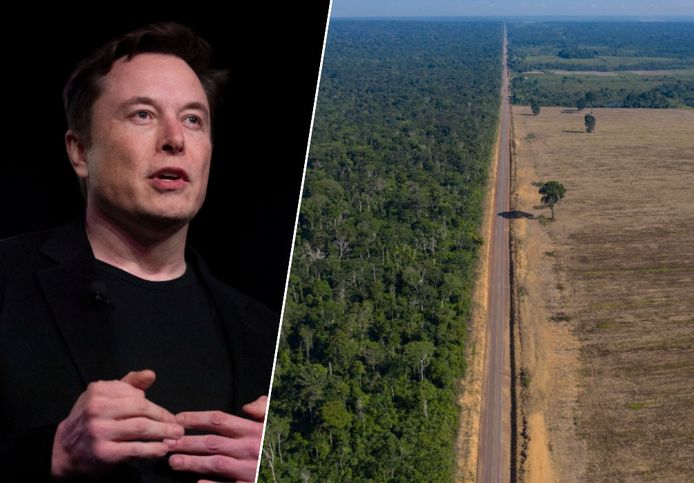 Elon Musk, le patron de Tesla, et le gouvernement brésilien veulent lancer un projet visant à préserver la forêt amazonienne.