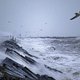 Wat kunnen we verwachten van storm Corrie?  ‘In de loop van de middag minder onstuimig’