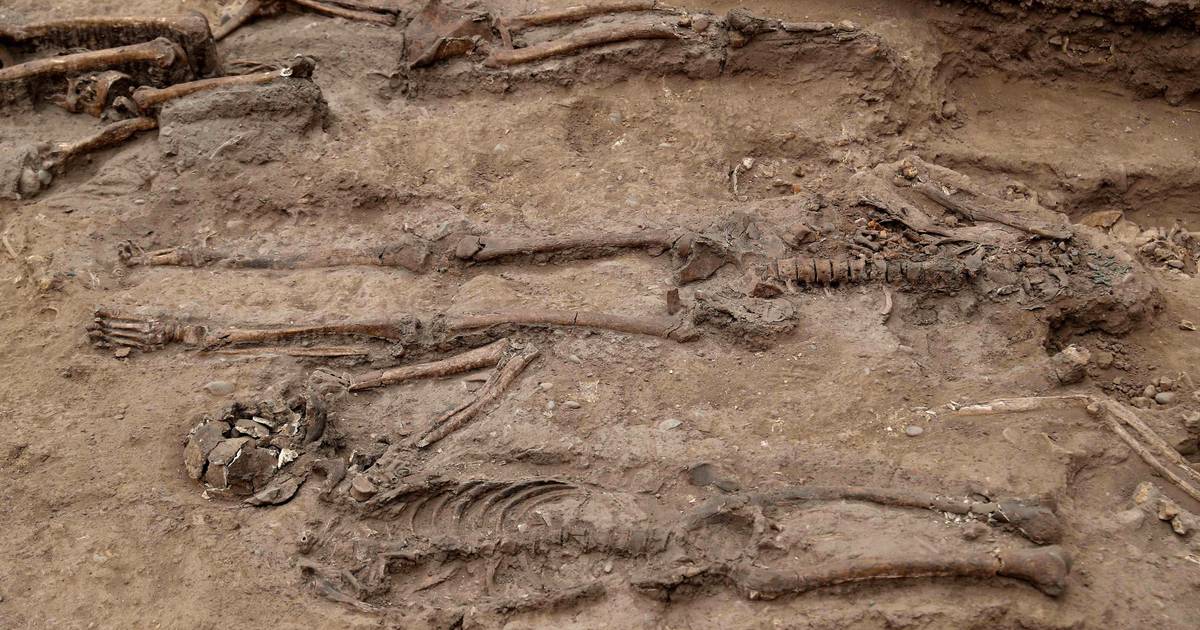 I ricercatori affermano che il mistero dell’origine della peste nera è stato risolto |  Scienze