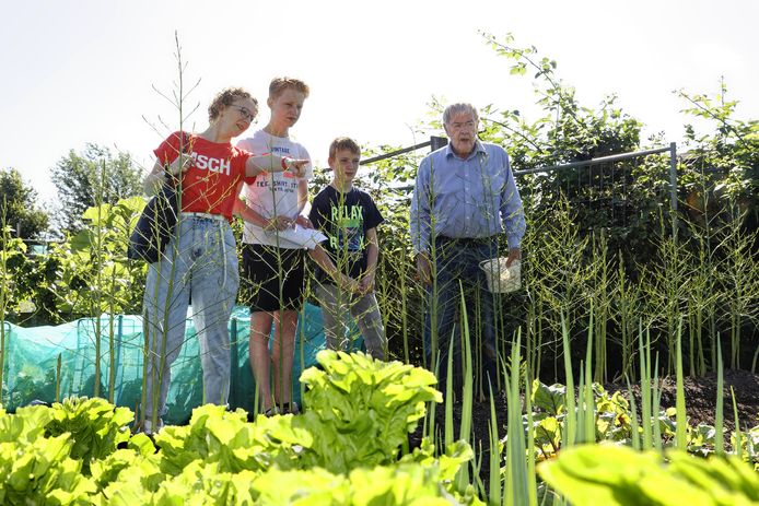Biologieles in de volkstuin De Eigenheimer. Lerares van den Hurk, Milan en Bart (vlnr) krijgen uitleg van oud-docent Harry Puttiger.