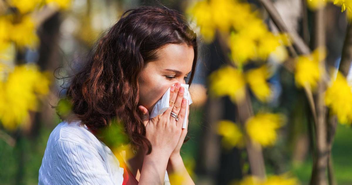 Pollen flare-up makes people sneeze again: which remedies do and don’t work for hay fever?  |  Science & Planet