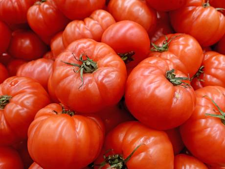 Zure tomatenpuree? Heibel in convenant, nare bijsmaak van uitbuiting spoelt niet weg