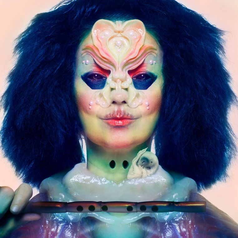 null Beeld (c) Björk