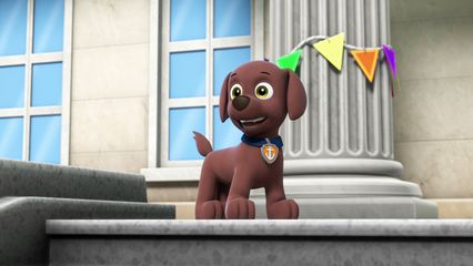 2. Pups redden Verkiezingsdag & Pups redden de Kauwgomaapjes