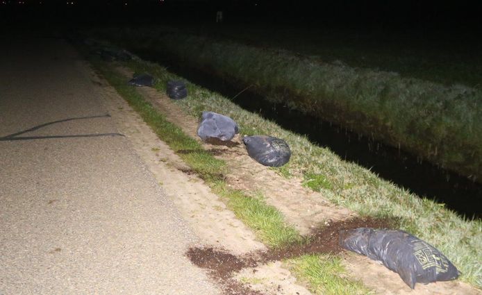 Op de Gementweg tussen Vught en Cromvoirt zijn in de nacht van vrijdag op
zaterdag enkele honderden zakken met hennepafval gedumpt.