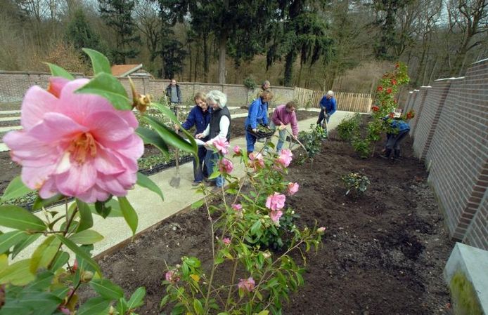 Tuin Lage Oorsprong krijgt kleur Arnhem gelderlander.nl