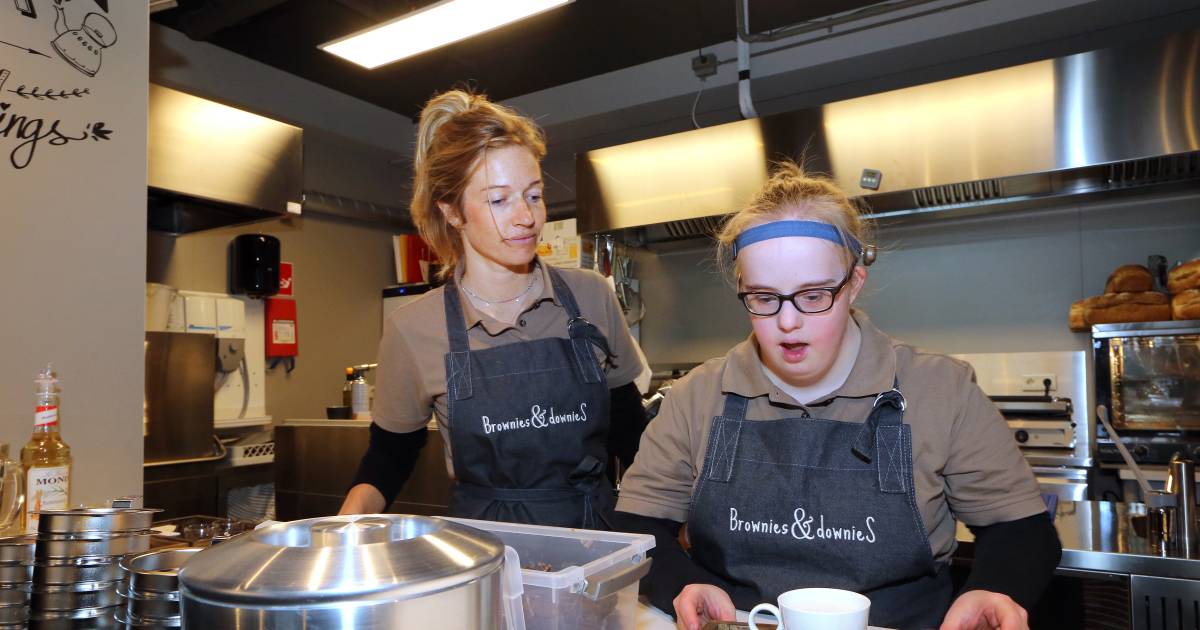 Succesformule Brownies en Downies opent deze zomer op TUterrein in