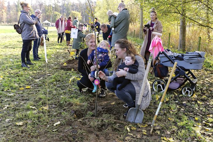 Leoni Verboven plant in 2017 een boom voor haar zoontje in het geboortebos in Schijndel.