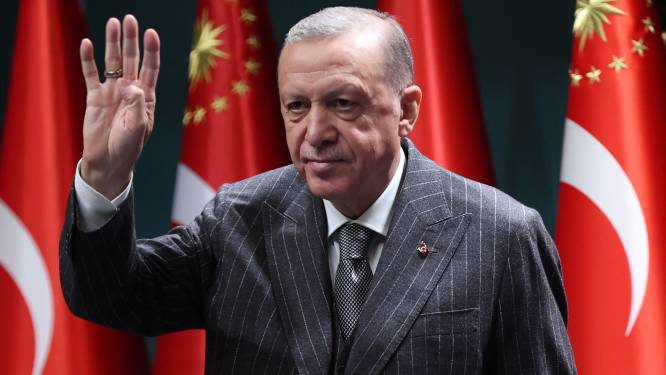 Erdogan lijkt afstand te nemen van Poetin: Turkije verwerpt Russische annexatie