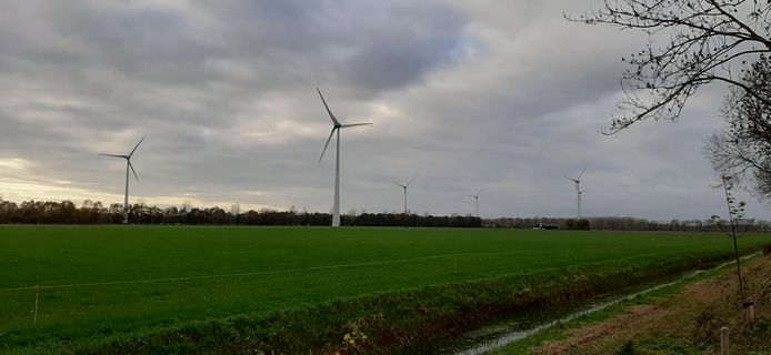 Vijf van de in totaal acht windmolens van Hagenwind in Aalten, vlak bij de grens met buurgemeente Oost Gelre.
