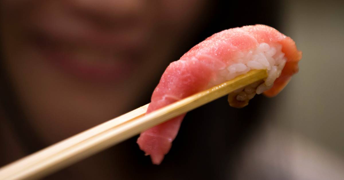 Sakura Sushi opent restaurant in Woerden | Woerden |