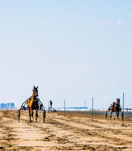 Des courses de chevaux à admirer gratuitement sur la plage du Coq ce week-end