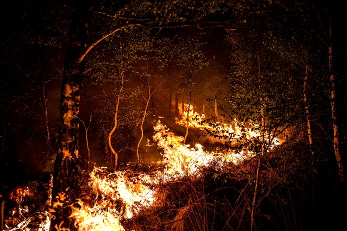 Door de enorme droogte zijn al diverse natuurbranden in Nederland ontstaan. (archieffoto)