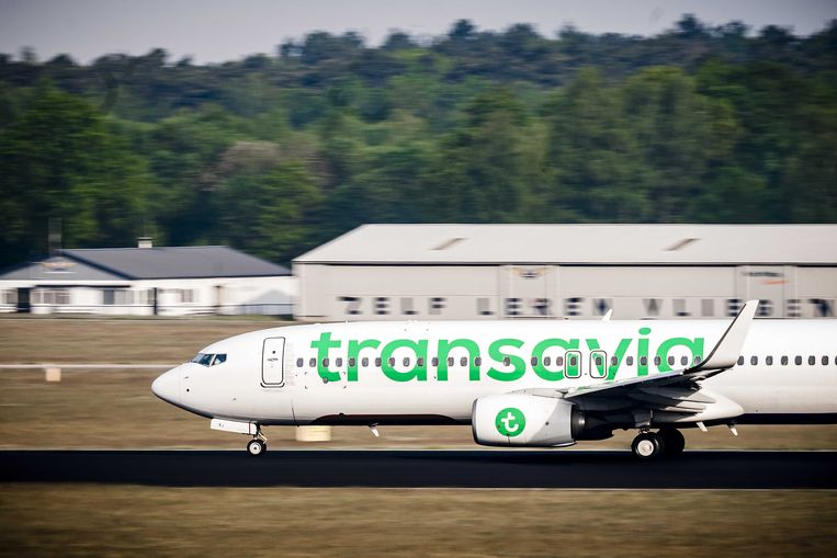 Een vliegtuig van Transavia vertrekt vanaf Eindhoven Airport.  Beeld ANP