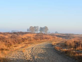 Nieuw masterplan voor Nationaal Park Kalmthoutse Heide blijft op verzet stoten: “Nog altijd veel onzekerheden”